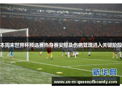 本周末世界杯预选赛热身赛安排及伤病管理进入关键阶段