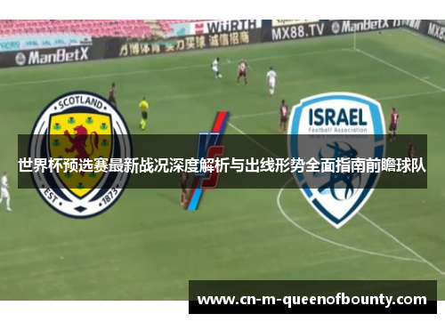 世界杯预选赛最新战况深度解析与出线形势全面指南前瞻球队
